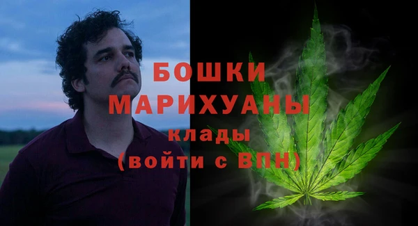 spice Богданович