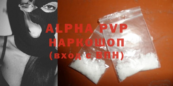 spice Богданович