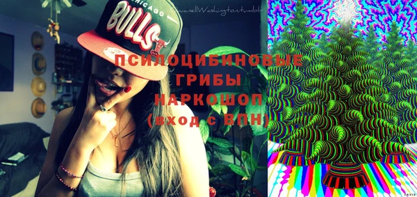 прущие крисы Богородск