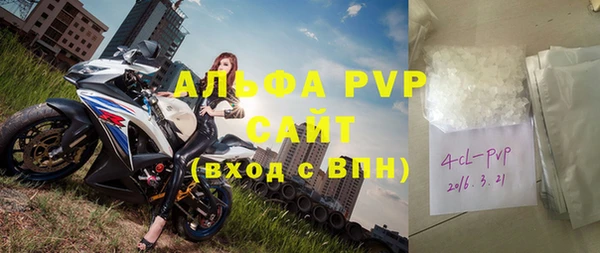spice Богданович
