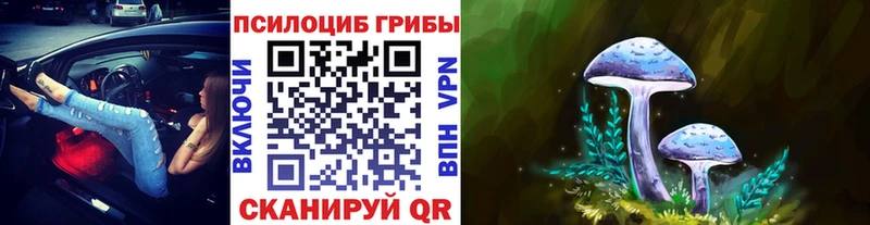kraken вход наркошоп Верхняя Салда Псилоцибиновые грибы ЛСД